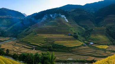 Terraced fields